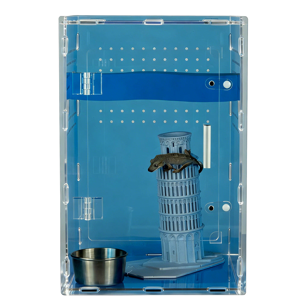 8x8x12 Acrylic Reptile Tank – Cyberpunk Blue