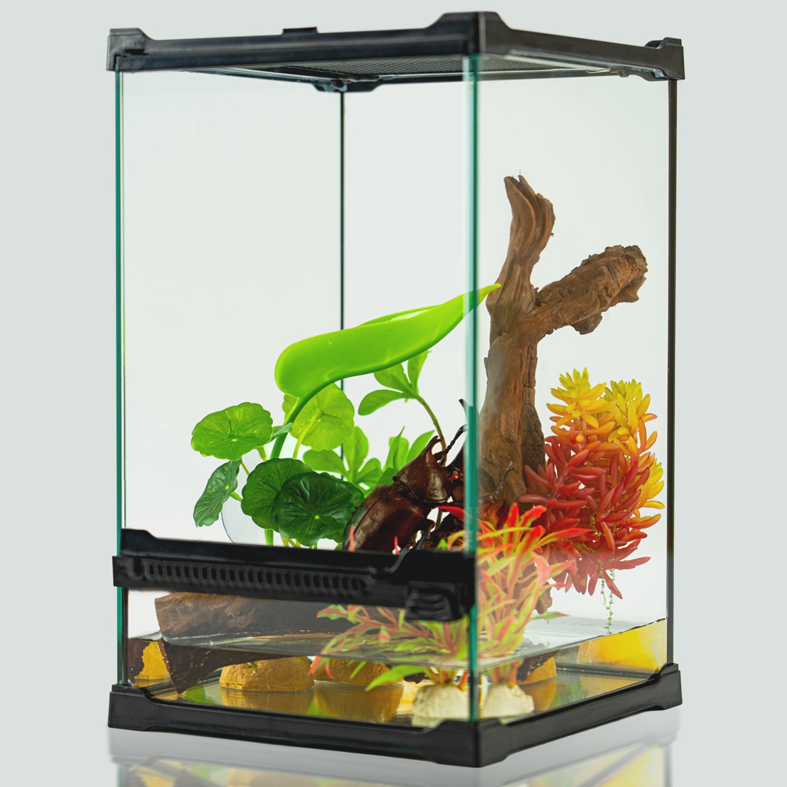 MonsterBox 8"8"12" Glass Reptile Enclosure（pre-sale）