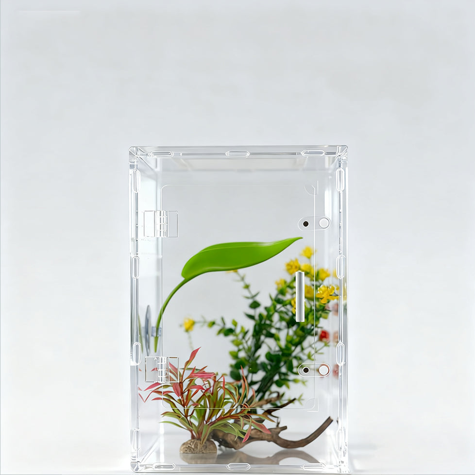 MonsterBox 8"8"12"acrylic reptiles enclosure
